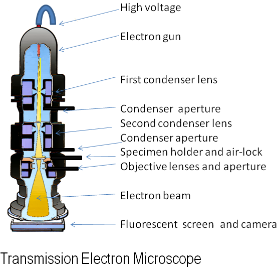 electron_microscope