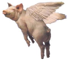 pigs_fly